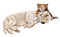 Tiere - Free PNG Animated GIF