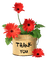 Kaz_Creations Deco Flowers Flower  Colours Thank You - PNG gratuit GIF animé