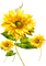 Flowers.Yellow - zadarmo png animovaný GIF
