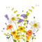 spring flowers - png gratuito GIF animata