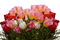 fleurs - 無料png アニメーションGIF