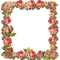 vintage flower frame - 免费PNG 动画 GIF