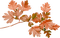 autumn Bb2 - безплатен png анимиран GIF