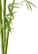 bamboo bp - bezmaksas png animēts GIF