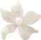 fleur blanche.Cheyenne63 - png gratis GIF animado