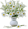 marguerites web charmille - 免费PNG 动画 GIF