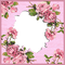 kikkapink frame roses spring - png gratuito GIF animata