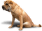 Kaz_Creations Dog Pup - δωρεάν png κινούμενο GIF