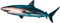 Kaz_Creations Shark - 免费PNG 动画 GIF