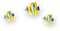 Fish.Gold.Blue.White - PNG gratuit GIF animé