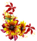 Цветы. - 免费PNG 动画 GIF