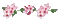 Barre fleurs rose