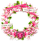 Cluster.Circle.Frame.Flowers.Text.Pink
