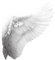Angel Wing - Darmowy animowany GIF