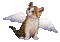 angel kitten - Бесплатни анимирани ГИФ анимирани ГИФ