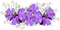 Fleur.Flower.Purple.violette.Deco.Victoriabea