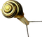 Kaz_Creations Snail - gratis png geanimeerde GIF