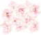 flowers blossom - 無料のアニメーション GIF アニメーションGIF