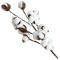 kikkapink deco scrap flower cotton - Free PNG Animated GIF