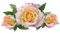 fleur, flower, kukka, ruusu, rose - gratis png geanimeerde GIF