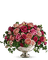 Kaz_Creations  Flowers Vase - png gratuito GIF animata