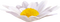 Fleur Marguerite Blanc:) - gratis png geanimeerde GIF
