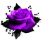 Gothic.Rose.Black.Purple