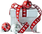 Christmas Box - Bogusia
