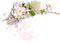 patymirabelle fleurs - bezmaksas png animēts GIF