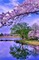 MMarcia paisagem fundo lilás - png gratis GIF animasi