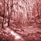 Y.A.M._Japan Spring landscape background red - bezmaksas png animēts GIF