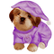 Dog Chien Puppy - png gratuito GIF animata