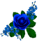 BEAUTIFUL FLOWER - 免费PNG 动画 GIF