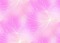 pink-bg-minou52 - ücretsiz png animasyonlu GIF