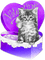 soave  vintage cat valentine deco box text gift - png gratuito GIF animata