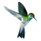 hummingbird Bb2 - безплатен png анимиран GIF
