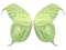 green butterfly - gratis png animeret GIF