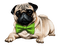 dogs dm19 - kostenlos png Animiertes GIF