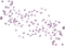 орнаментдекор звездыгуля - бесплатно png анимированный гифка