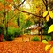 Kaz_Creations Backgrounds Background Autumn - ilmainen png animoitu GIF