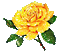 Flowers yellow rose bp - GIF เคลื่อนไหวฟรี GIF แบบเคลื่อนไหว