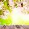 Y.A.M._Spring background - kostenlos png Animiertes GIF