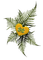 Coeur St-Patrick Déco:) - Free PNG Animated GIF