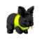 Kaz_Creations Animals Rabbit Hare - бесплатно png анимированный гифка