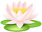Kaz_Creations Flowers Flower - ilmainen png animoitu GIF