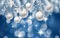 branch ball balls fond blue  weihnachten kugeln   christmas  noel  image background - PNG gratuit GIF animé