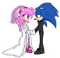 SonAmy Wedding - Free PNG Animated GIF