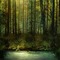 forest - gratis png geanimeerde GIF