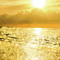 Golden Beach - GIF animé gratuit GIF animé
