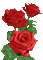 red roses animated - Δωρεάν κινούμενο GIF κινούμενο GIF